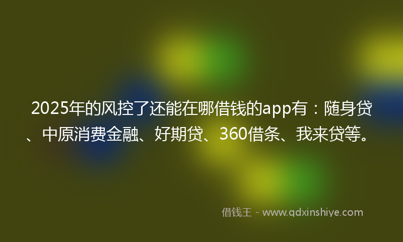 2025年的风控了还能在哪借钱的app有：随身贷、中原消费金融、好期贷、360借条、我来贷等。