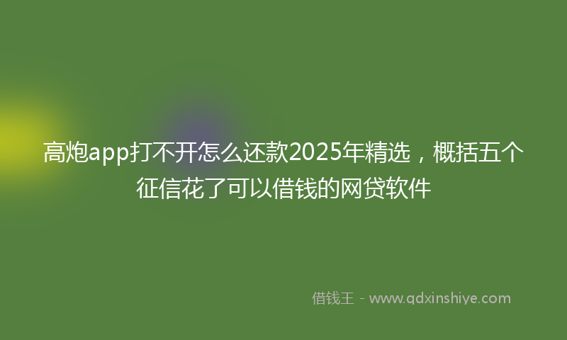 高炮app打不开怎么还款2025年精选，概括五个征信花了可以借钱的网贷软件