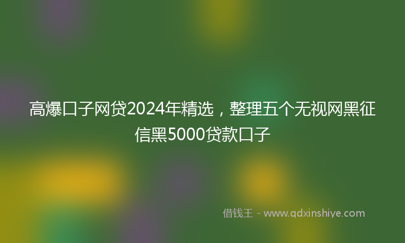 高爆口子网贷2024年精选，整理五个无视网黑征信黑5000贷款口子
