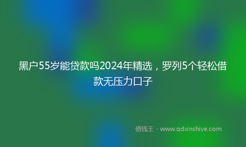 黑户55岁能贷款吗2024年精选，罗列5个轻松借款无压力口子