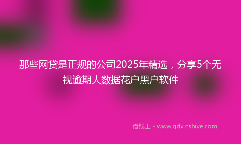 那些网贷是正规的公司2025年精选，分享5个无视逾期大数据花户黑户软件