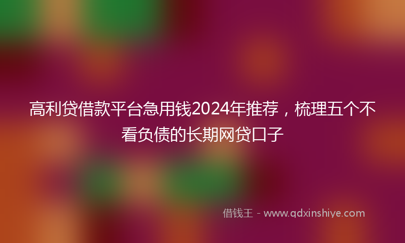 高利贷借款平台急用钱2024年推荐，梳理五个不看负债的长期网贷口子