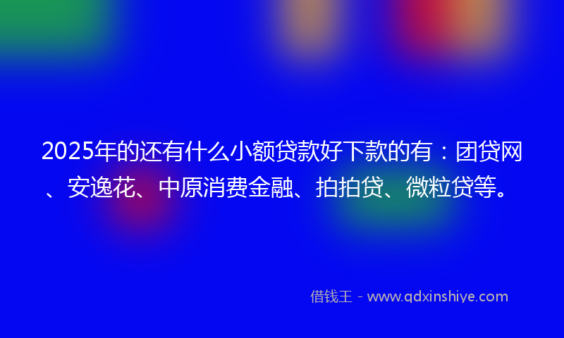2025年的还有什么小额贷款好下款的有：团贷网、安逸花、中原消费金融、拍拍贷、微粒贷等。