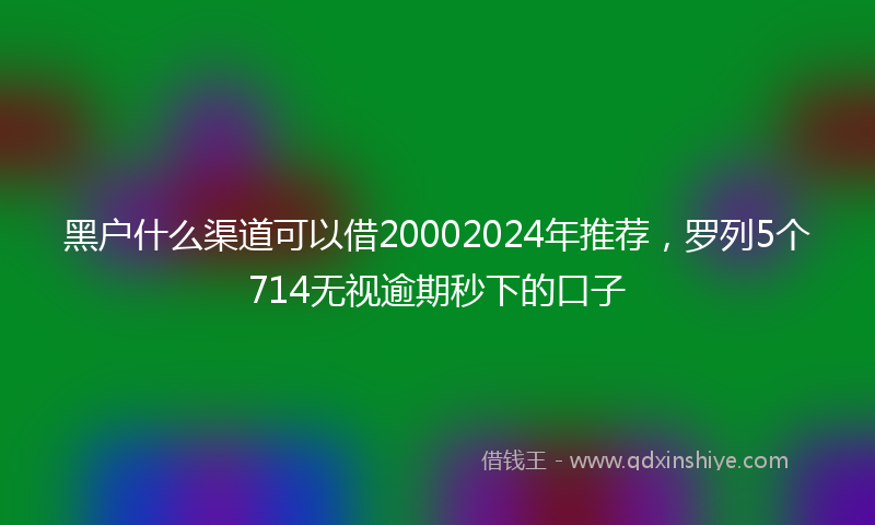 黑户什么渠道可以借20002024年推荐，罗列5个714无视逾期秒下的口子
