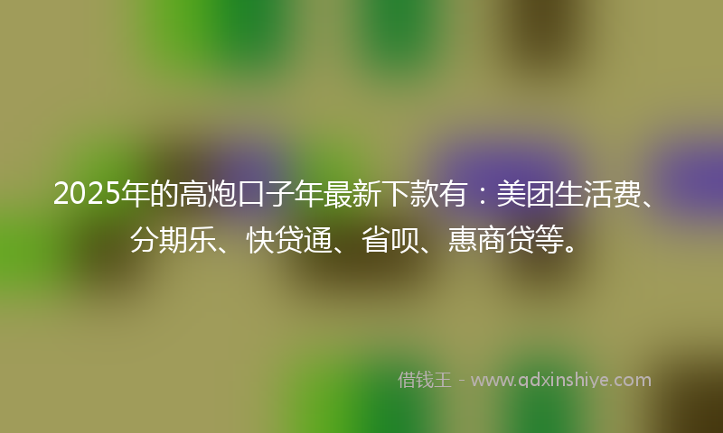 2025年的高炮口子年最新下款有：美团生活费、分期乐、快贷通、省呗、惠商贷等。