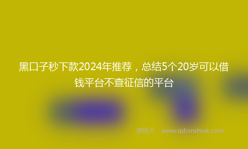 黑口子秒下款2024年推荐，总结5个20岁可以借钱平台不查征信的平台