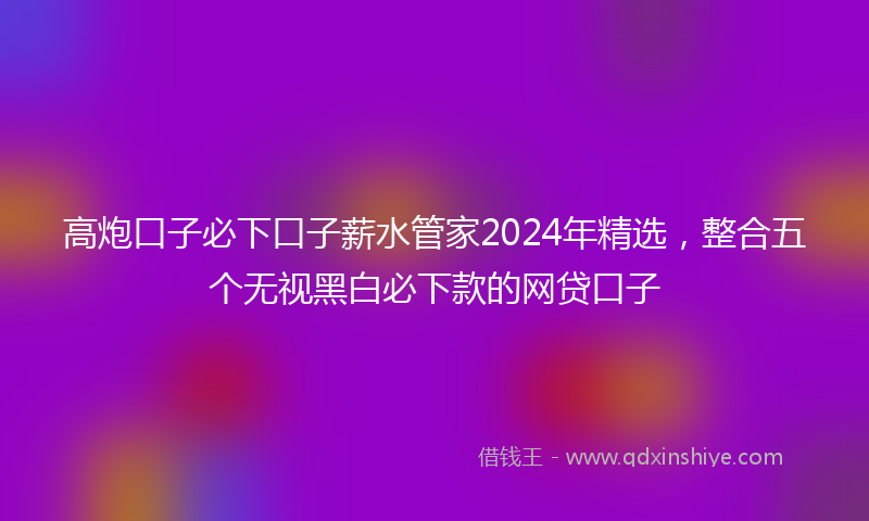 高炮口子必下口子薪水管家2024年精选，整合五个无视黑白必下款的网贷口子