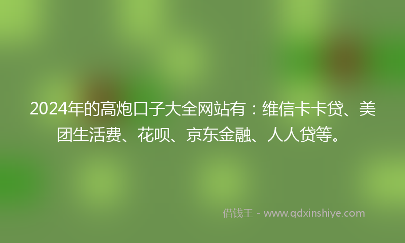 2024年的高炮口子大全网站有：维信卡卡贷、美团生活费、花呗、京东金融、人人贷等。