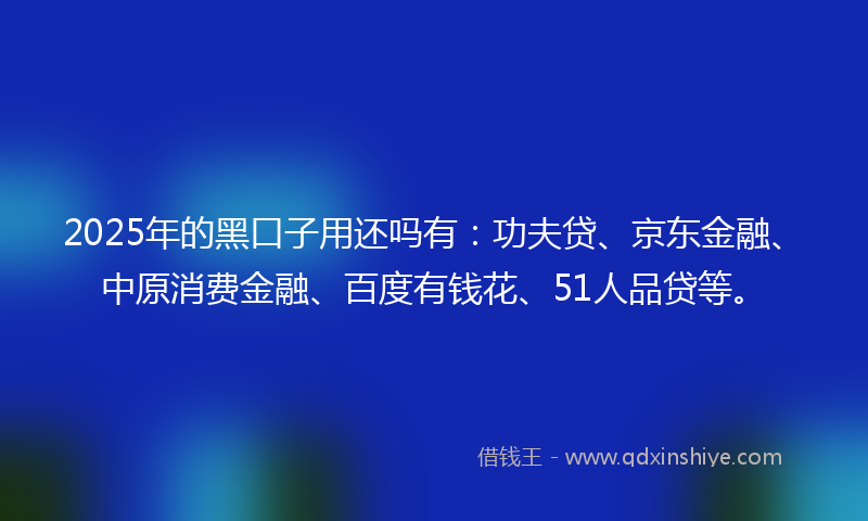 2025年的黑口子用还吗有：功夫贷、京东金融、中原消费金融、百度有钱花、51人品贷等。