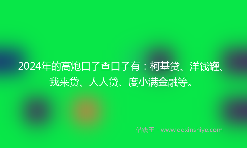 2024年的高炮口子查口子有：柯基贷、洋钱罐、我来贷、人人贷、度小满金融等。