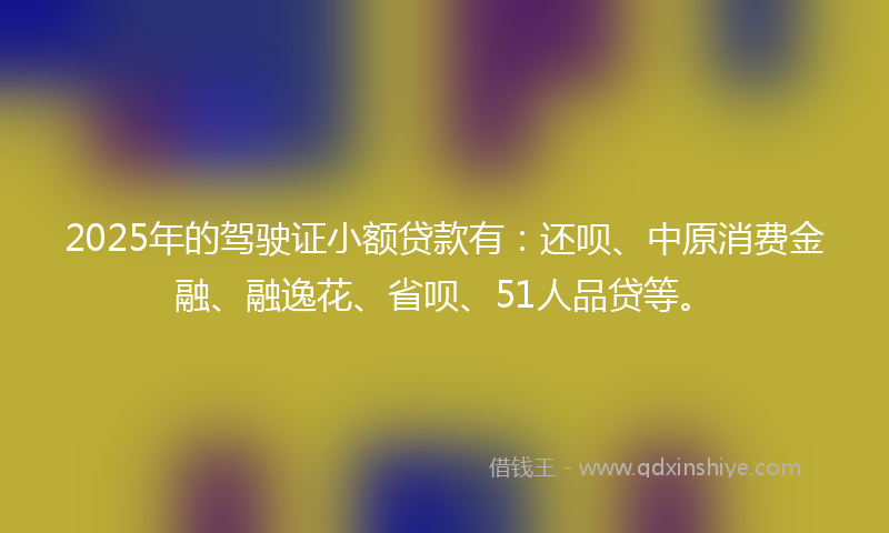 2025年的驾驶证小额贷款有：还呗、中原消费金融、融逸花、省呗、51人品贷等。