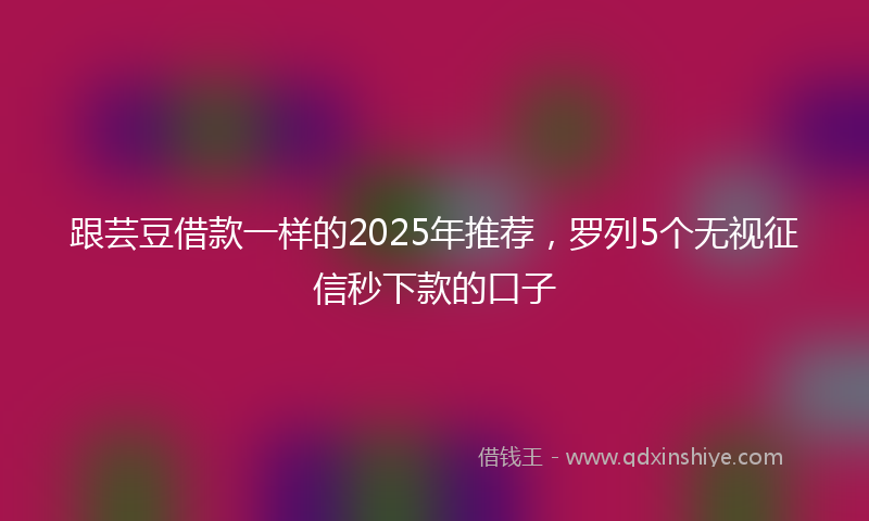 跟芸豆借款一样的2025年推荐，罗列5个无视征信秒下款的口子