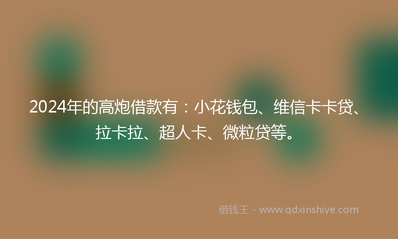 2024年的高炮借款有：小花钱包、维信卡卡贷、拉卡拉、超人卡、微粒贷等。
