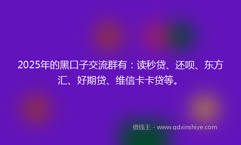 2025年的黑口子交流群有：读秒贷、还呗、东方汇、好期贷、维信卡卡贷等。