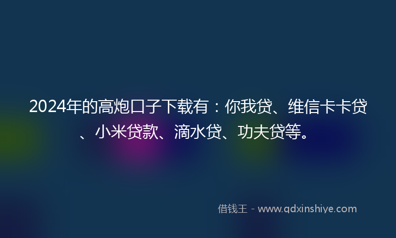 2024年的高炮口子下载有：你我贷、维信卡卡贷、小米贷款、滴水贷、功夫贷等。