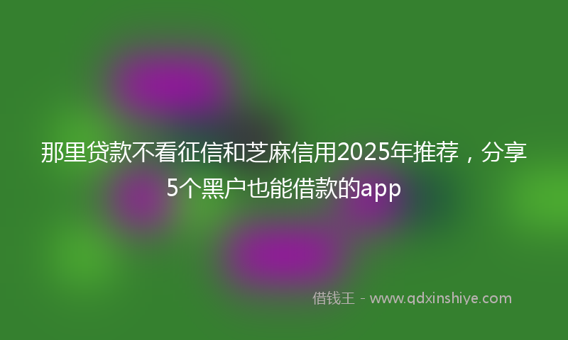 那里贷款不看征信和芝麻信用2025年推荐，分享5个黑户也能借款的app