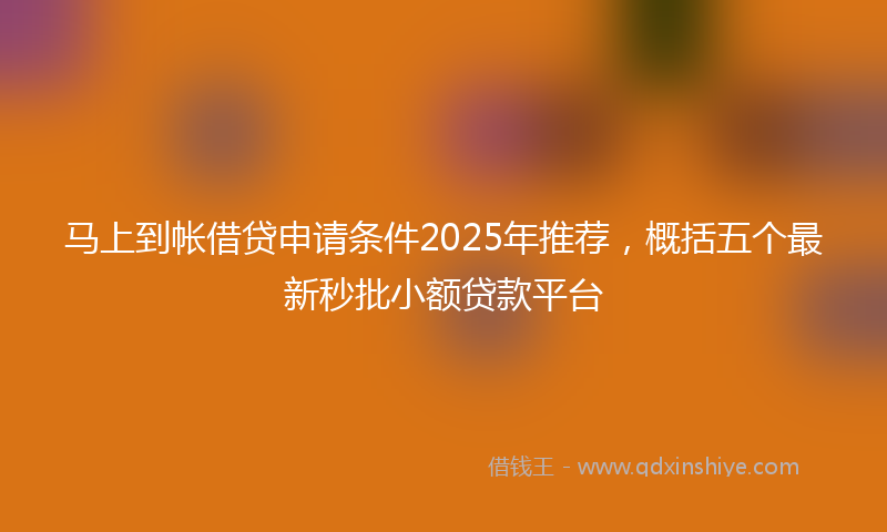 马上到帐借贷申请条件2025年推荐，概括五个最新秒批小额贷款平台