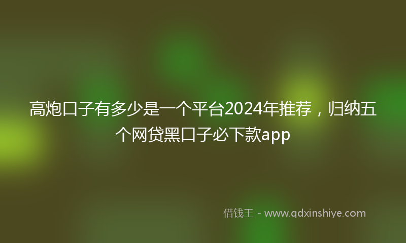 高炮口子有多少是一个平台2024年推荐，归纳五个网贷黑口子必下款app