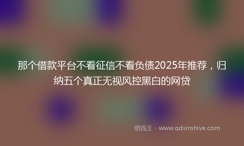 那个借款平台不看征信不看负债2025年推荐，归纳五个真正无视风控黑白的网贷