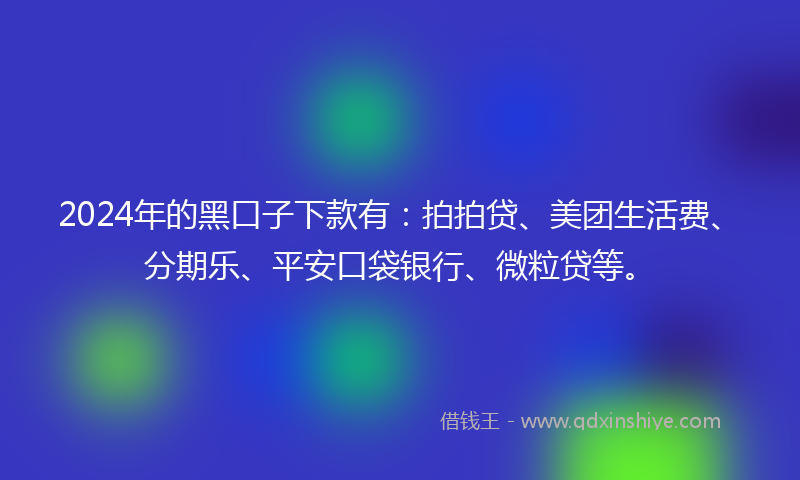 2024年的黑口子下款有：拍拍贷、美团生活费、分期乐、平安口袋银行、微粒贷等。