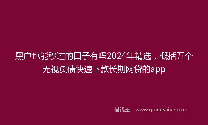 黑户也能秒过的口子有吗2024年精选，概括五个无视负债快速下款长期网贷的app