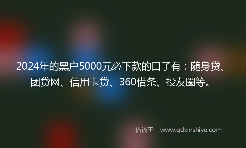 2024年的黑户5000元必下款的口子有：随身贷、团贷网、信用卡贷、360借条、投友圈等。
