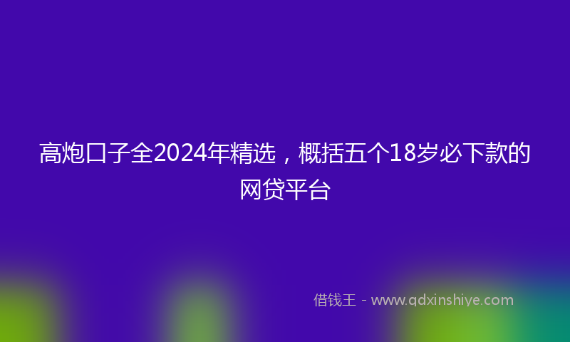 高炮口子全2024年精选，概括五个18岁必下款的网贷平台
