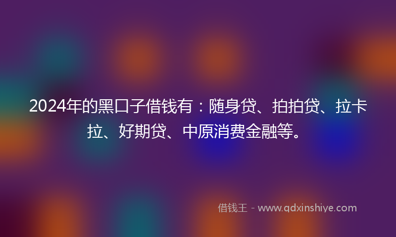 2024年的黑口子借钱有：随身贷、拍拍贷、拉卡拉、好期贷、中原消费金融等。