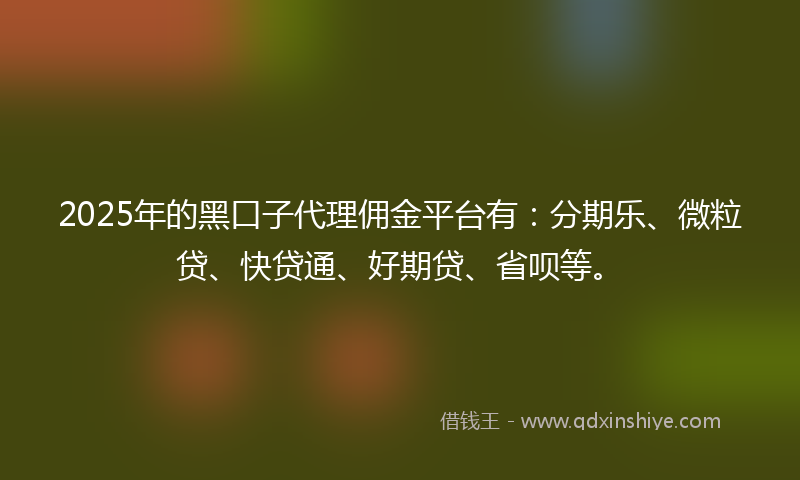 2025年的黑口子代理佣金平台有：分期乐、微粒贷、快贷通、好期贷、省呗等。