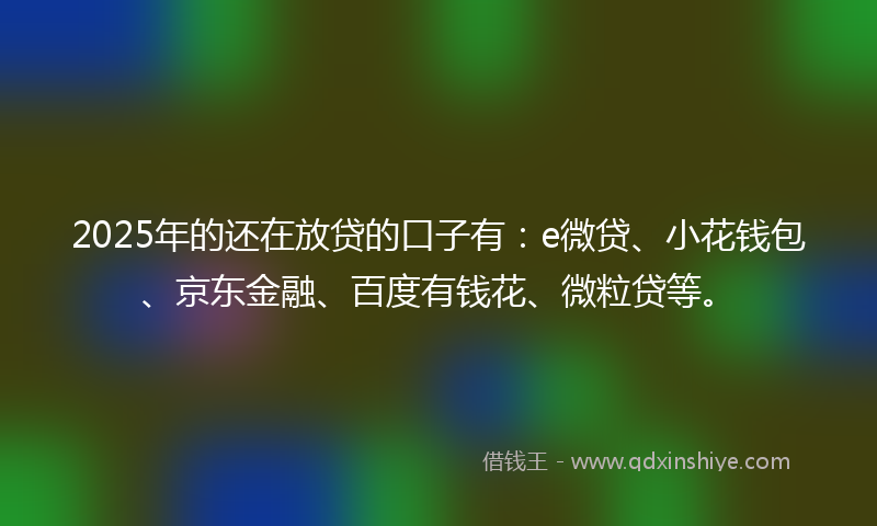 2025年的还在放贷的口子有：e微贷、小花钱包、京东金融、百度有钱花、微粒贷等。