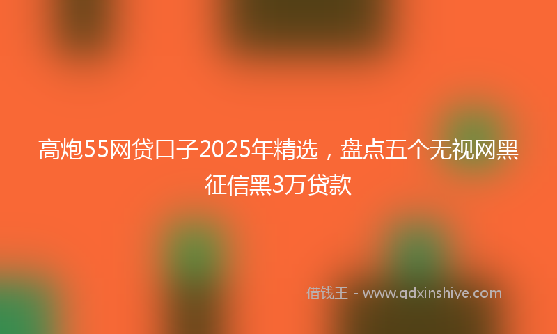 高炮55网贷口子2025年精选，盘点五个无视网黑征信黑3万贷款