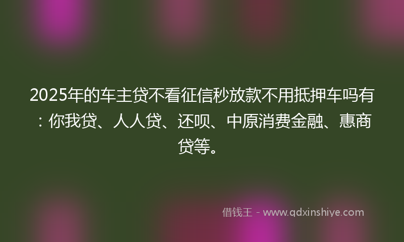 2025年的车主贷不看征信秒放款不用抵押车吗有：你我贷、人人贷、还呗、中原消费金融、惠商贷等。