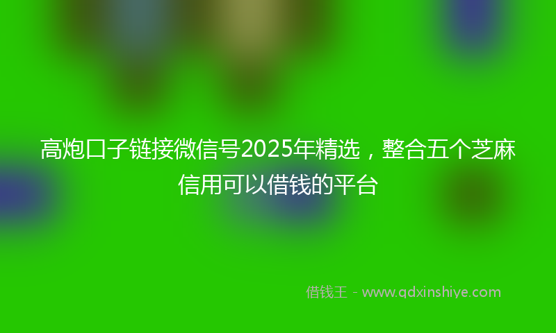 高炮口子链接微信号2025年精选，整合五个芝麻信用可以借钱的平台