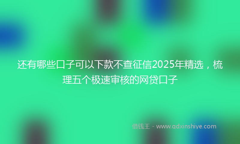 还有哪些口子可以下款不查征信2025年精选，梳理五个极速审核的网贷口子