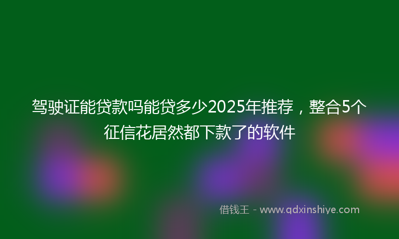 驾驶证能贷款吗能贷多少2025年推荐，整合5个征信花居然都下款了的软件