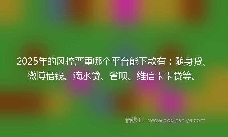 2025年的风控严重哪个平台能下款有：随身贷、微博借钱、滴水贷、省呗、维信卡卡贷等。
