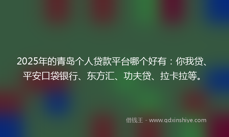 2025年的青岛个人贷款平台哪个好有：你我贷、平安口袋银行、东方汇、功夫贷、拉卡拉等。