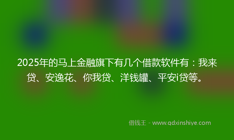 2025年的马上金融旗下有几个借款软件有：我来贷、安逸花、你我贷、洋钱罐、平安i贷等。