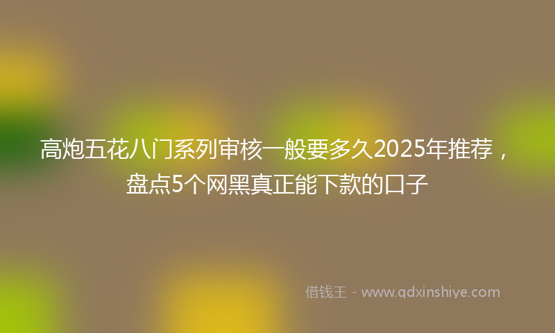 高炮五花八门系列审核一般要多久2025年推荐，盘点5个网黑真正能下款的口子