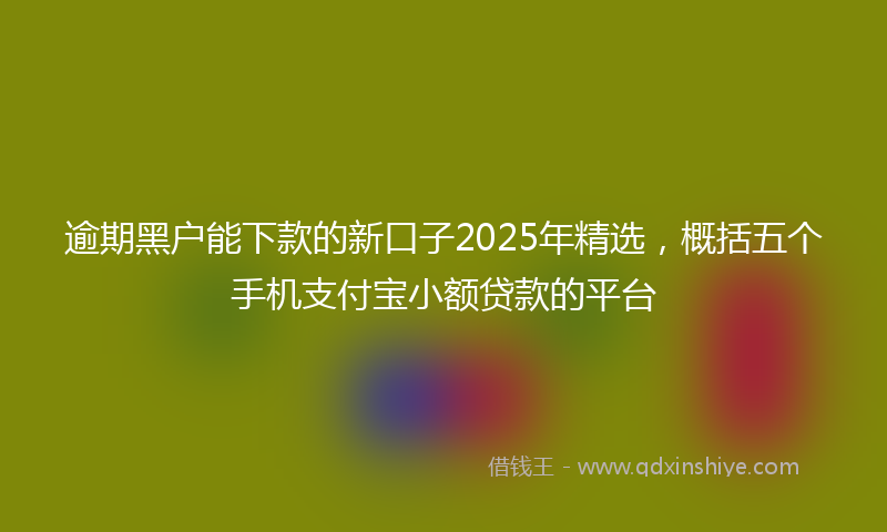 逾期黑户能下款的新口子2025年精选，概括五个手机支付宝小额贷款的平台