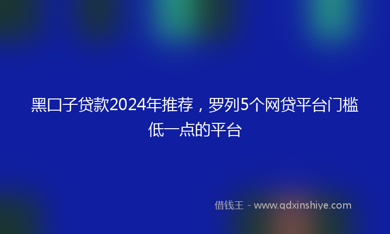 黑囗子贷款2024年推荐，罗列5个网贷平台门槛低一点的平台