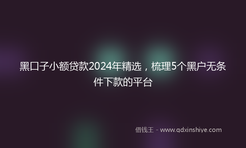 黑口子小额贷款2024年精选，梳理5个黑户无条件下款的平台