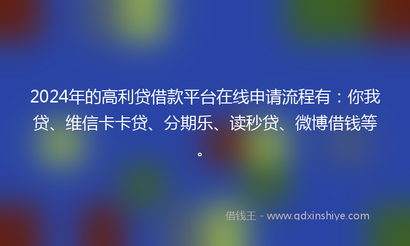 2024年的高利贷借款平台在线申请流程有：你我贷、维信卡卡贷、分期乐、读秒贷、微博借钱等。