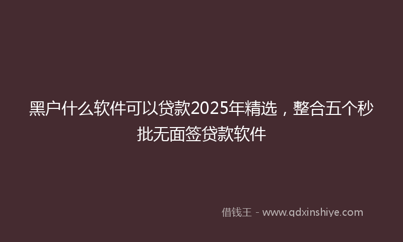 黑户什么软件可以贷款2025年精选，整合五个秒批无面签贷款软件