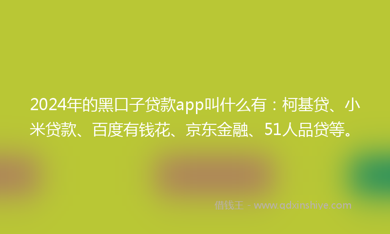 2024年的黑口子贷款app叫什么有：柯基贷、小米贷款、百度有钱花、京东金融、51人品贷等。