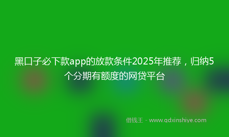 黑口子必下款app的放款条件2025年推荐，归纳5个分期有额度的网贷平台