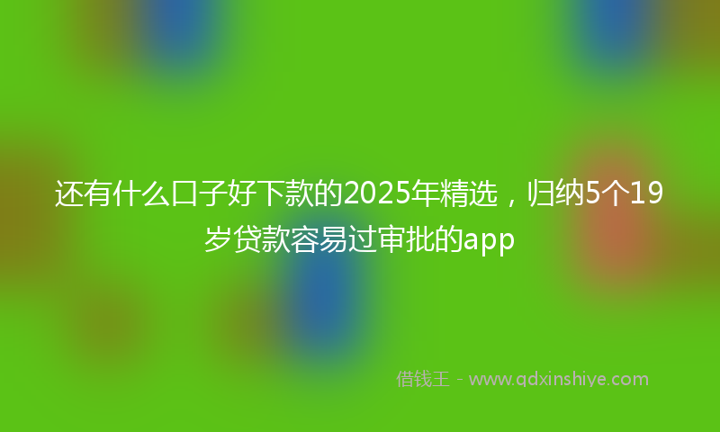 还有什么口子好下款的2025年精选，归纳5个19岁贷款容易过审批的app
