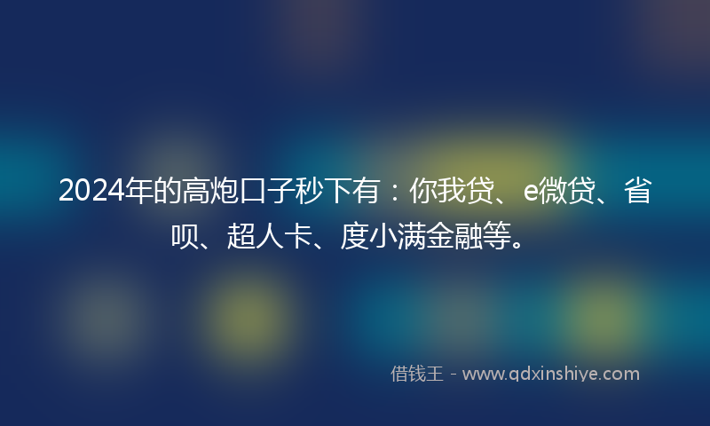 2024年的高炮口子秒下有：你我贷、e微贷、省呗、超人卡、度小满金融等。