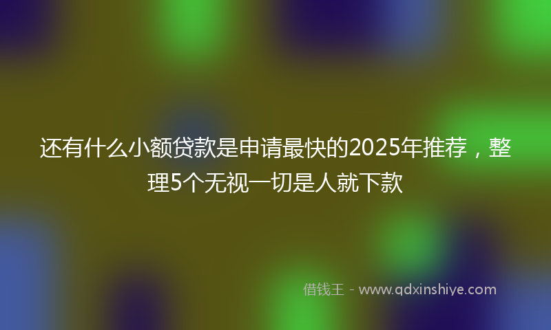 还有什么小额贷款是申请最快的2025年推荐，整理5个无视一切是人就下款