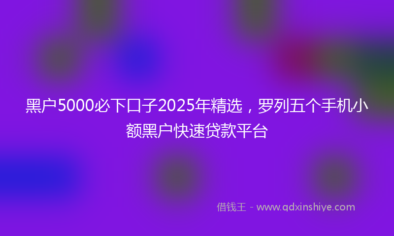 黑户5000必下口子2025年精选，罗列五个手机小额黑户快速贷款平台